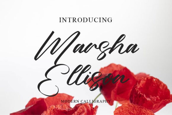 Marsha Ellison: A Designer’s Real-World Review